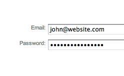 login fields