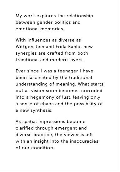 artist statement artist’s statements for a photography website